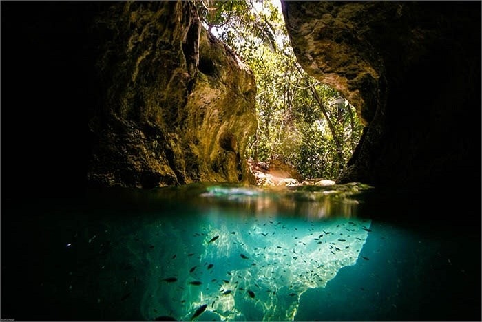 6 plus belles grottes baie halong grotte vierge